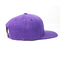 100% akrilik topi Snapback pribadi / Logo bordir Snapback topi dan topi