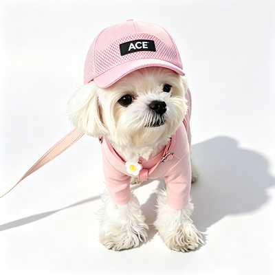 50 gram kapas Cute Pet Hat desain serbaguna Cocok berbagai pakaian dan kepribadian hewan peliharaan Hadiah sempurna