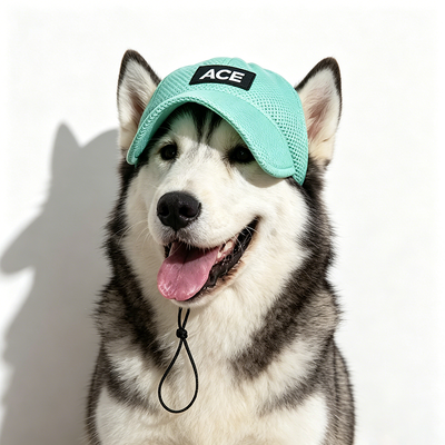 Outdoor Dan Indoor Pet Hat Cocok Untuk Anjing Kecil Paket Termasuk 1 X Pet Hat Adjustable Strap Untuk Aman Fit
